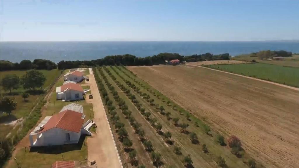 White Villas Douneika  Eksteriør billede